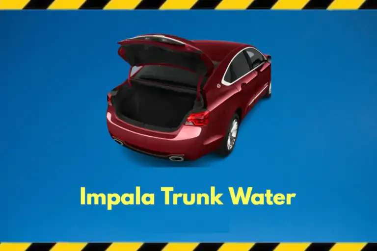 2014-2024 Impala Trunk Water: Why and What to Do?